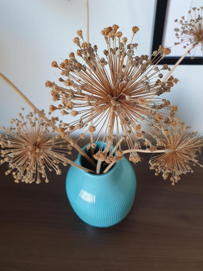 Ferienapartment Voegelsen Vogelsen Εξωτερικό φωτογραφία